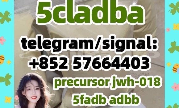 Medium with watermark 510