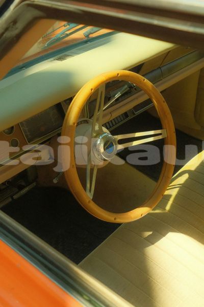 Big with watermark image