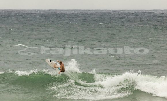 Medium with watermark image