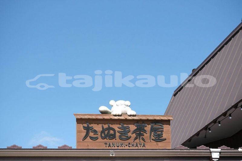 Big with watermark image