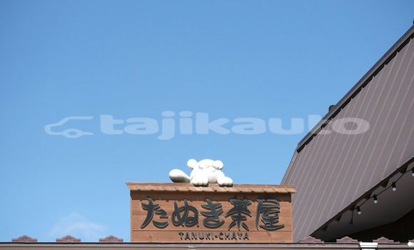 Medium with watermark image