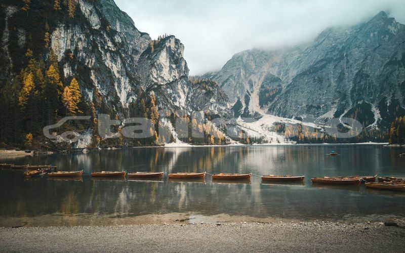 Big with watermark image