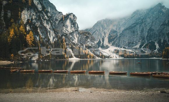 Medium with watermark image