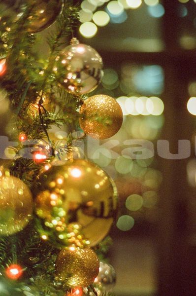 Big with watermark image