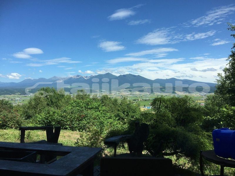 Big with watermark image