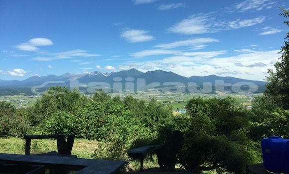 Medium with watermark image