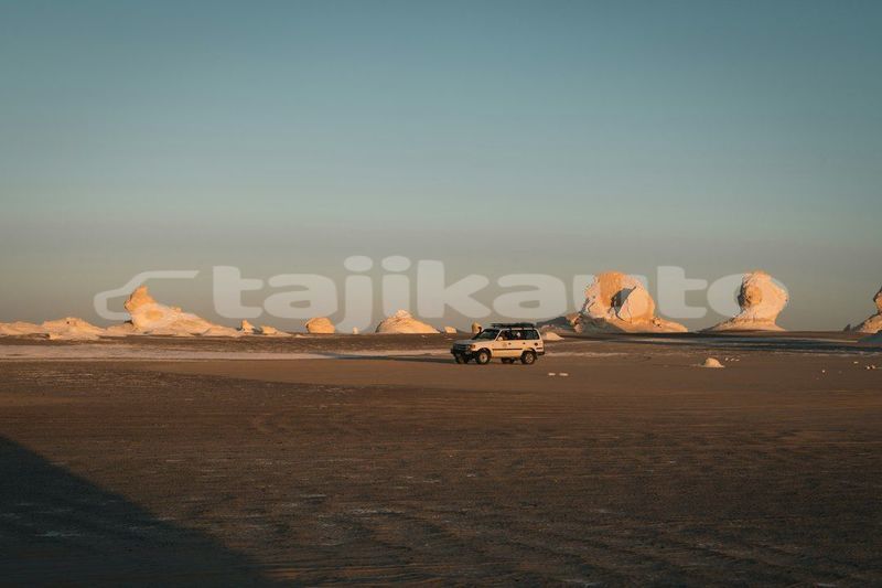 Big with watermark image