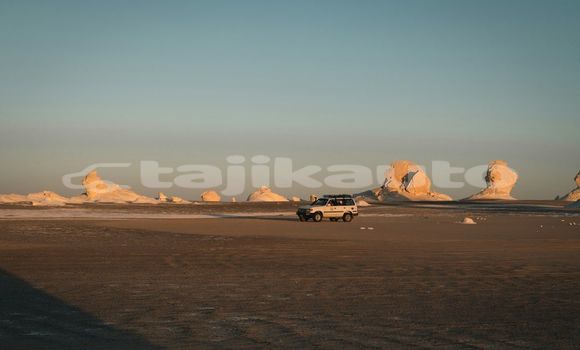 Medium with watermark image