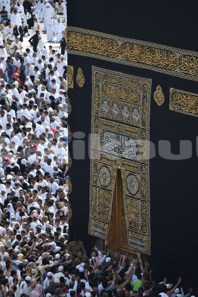 Big with watermark image