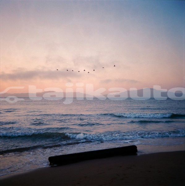Big with watermark image