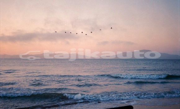 Medium with watermark image