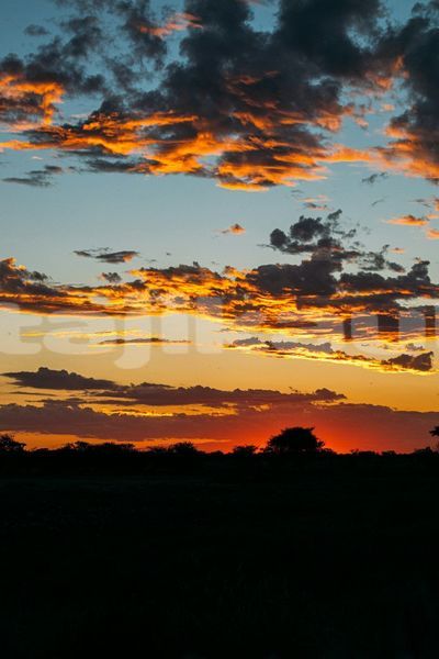 Big with watermark image
