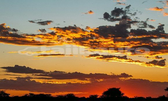 Medium with watermark image