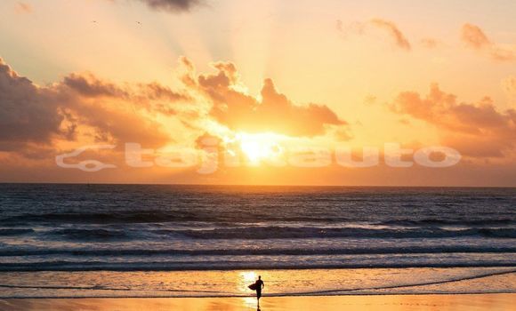 Medium with watermark image