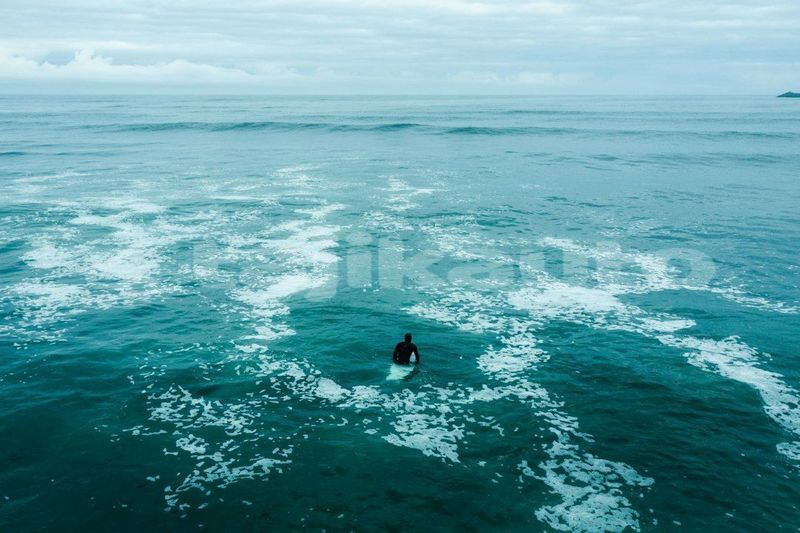Big with watermark image