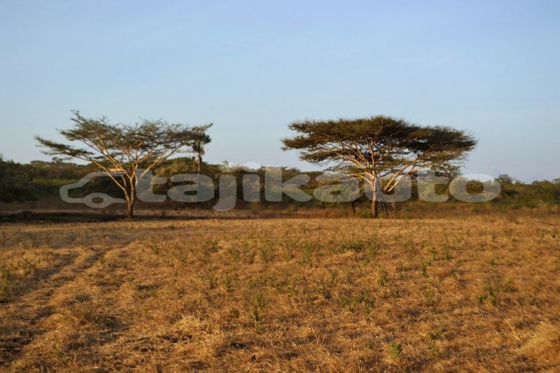 Big with watermark image