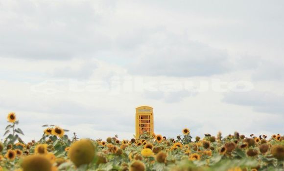 Medium with watermark image