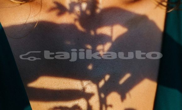 Medium with watermark image