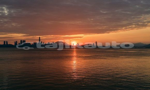 Medium with watermark image