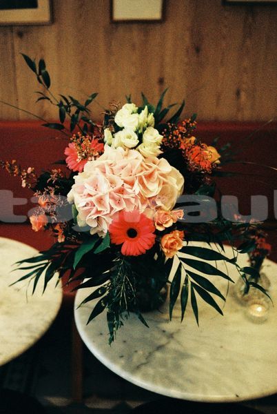 Big with watermark image