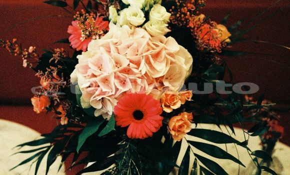 Medium with watermark image