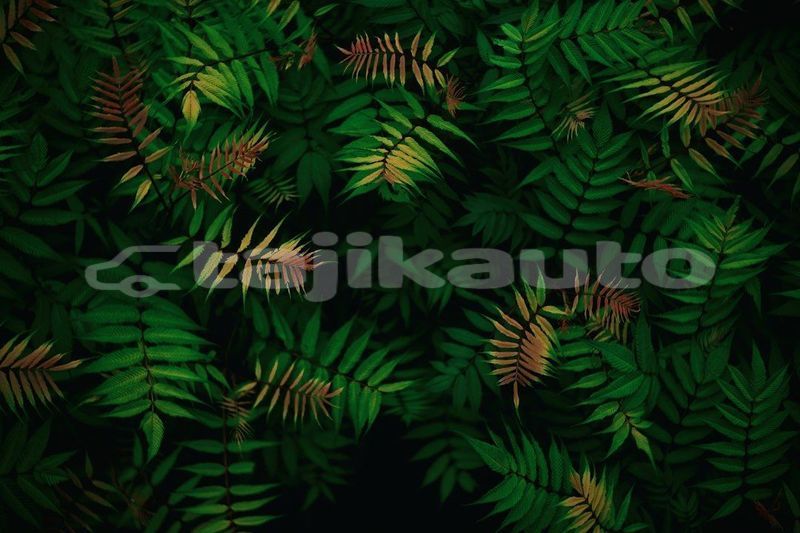 Big with watermark image
