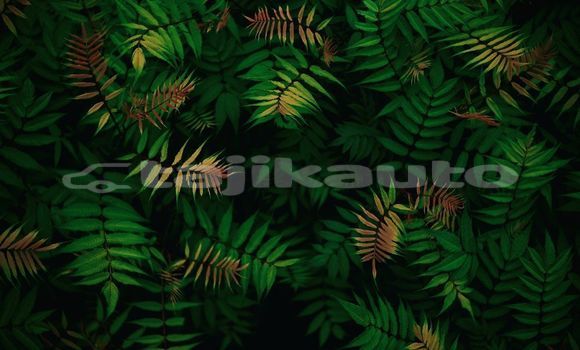 Medium with watermark image