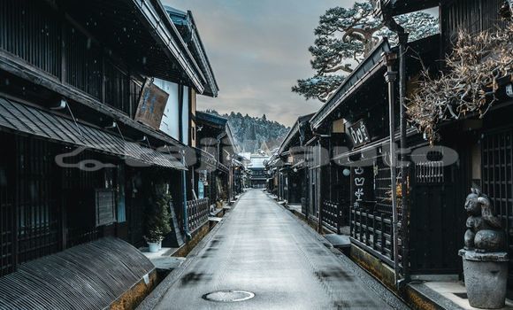 Medium with watermark image