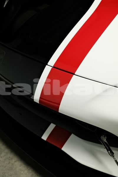 Big with watermark image