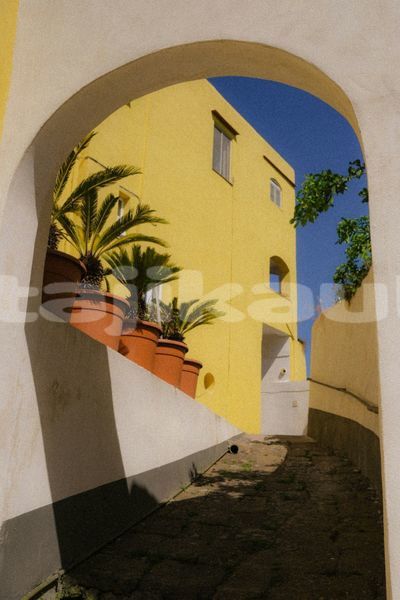 Big with watermark image