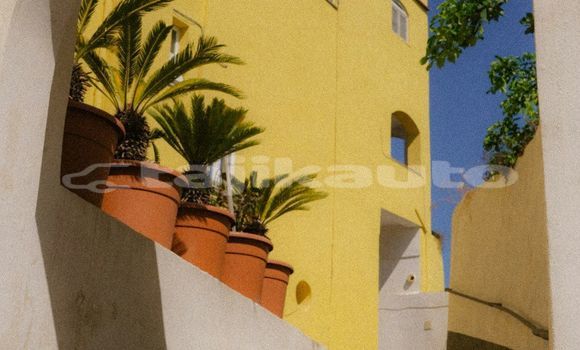 Medium with watermark image