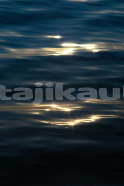 Big with watermark image