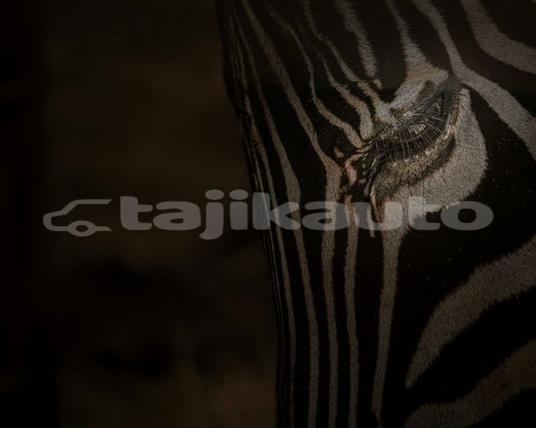 Big with watermark image