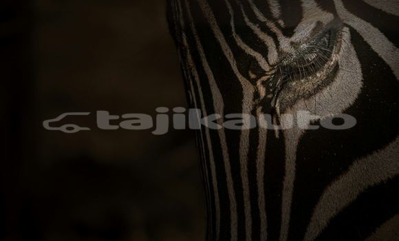 Medium with watermark image
