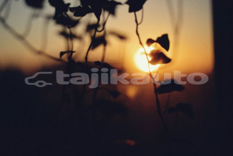 Big with watermark image