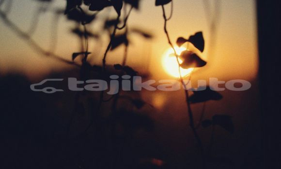 Medium with watermark image