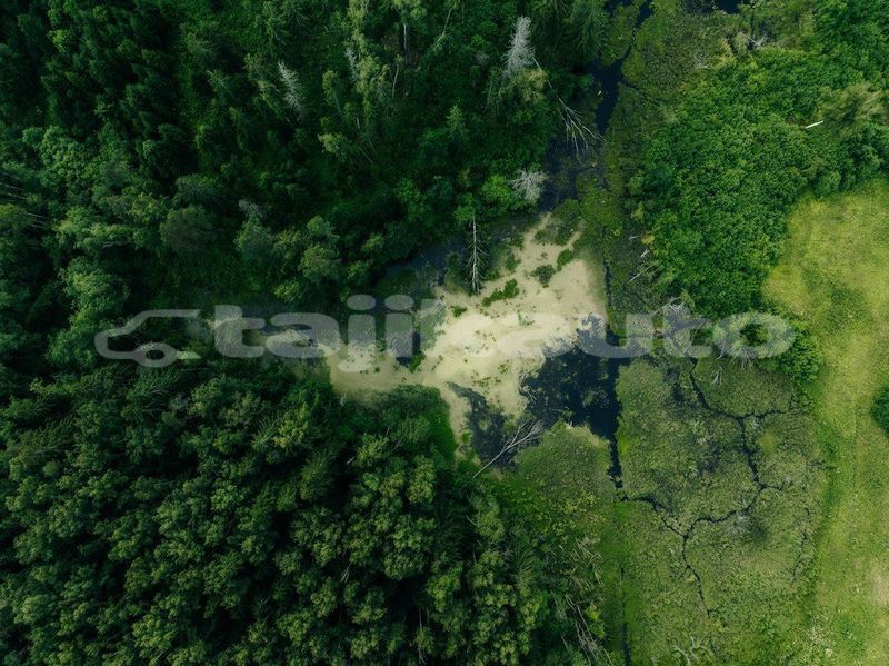 Big with watermark image