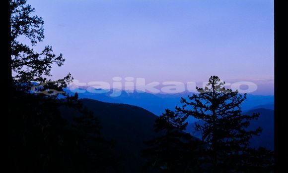 Medium with watermark image