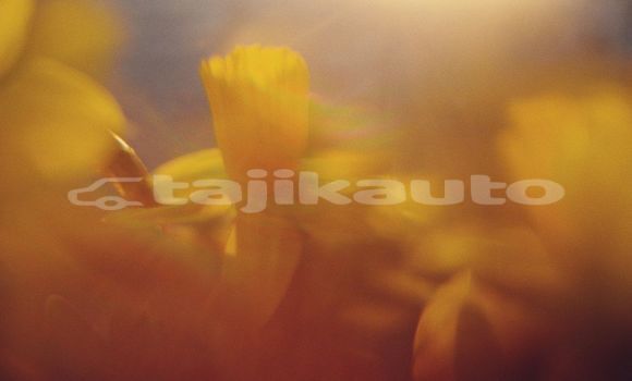 Medium with watermark image