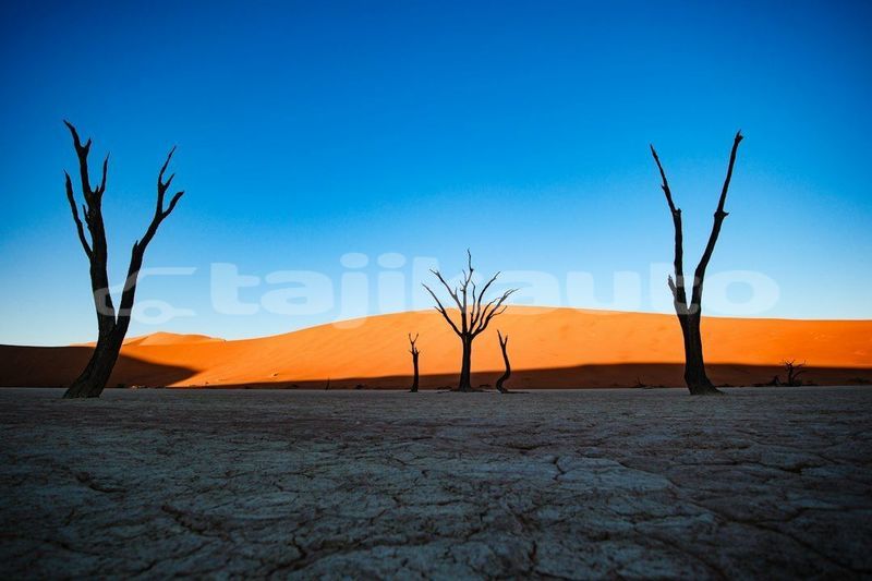 Big with watermark image