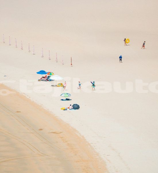 Big with watermark image