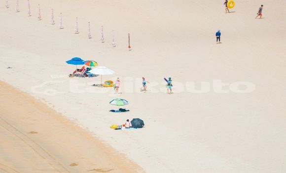 Medium with watermark image
