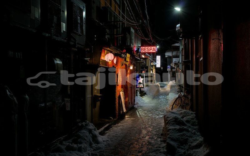 Big with watermark image