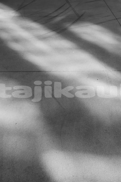 Big with watermark image