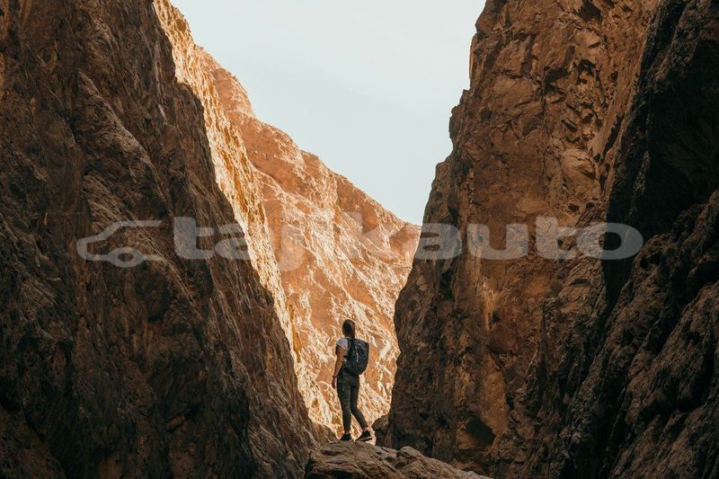 Big with watermark image
