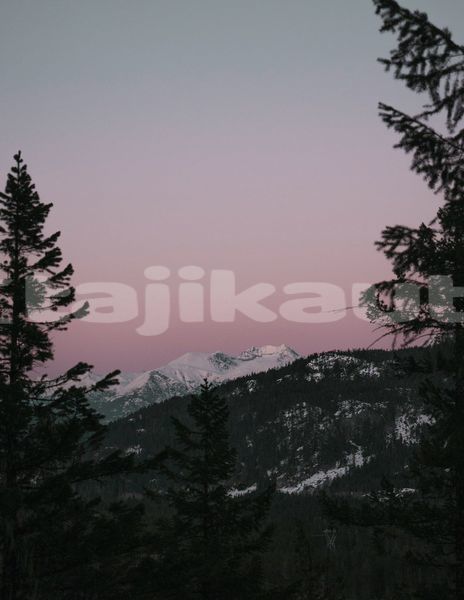 Big with watermark image