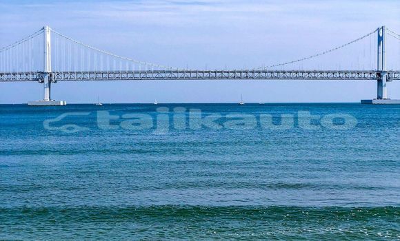 Medium with watermark image