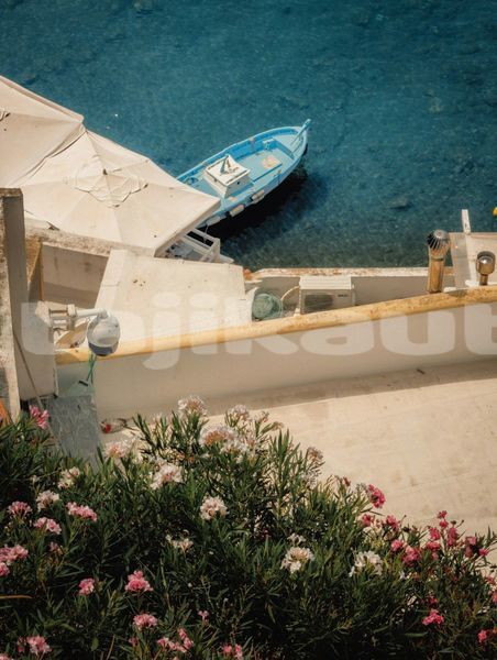 Big with watermark image