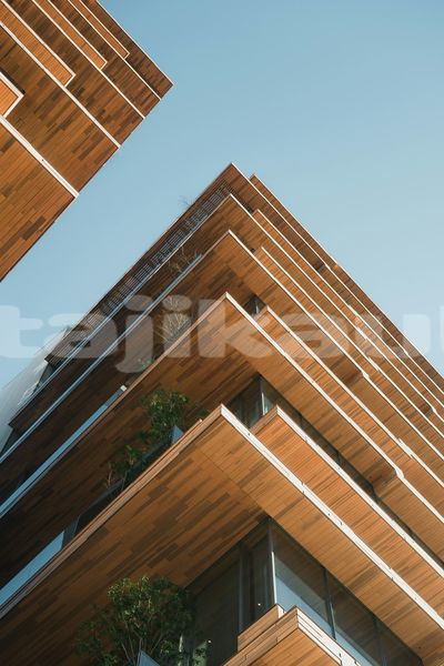 Big with watermark image