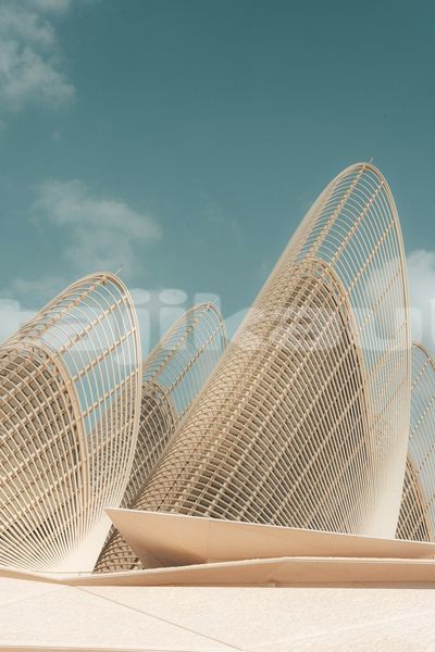 Big with watermark image